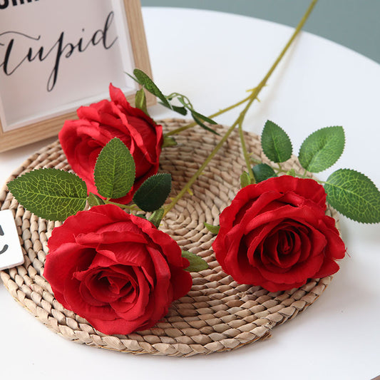 Vivid Rose - Gifts by Art Tree