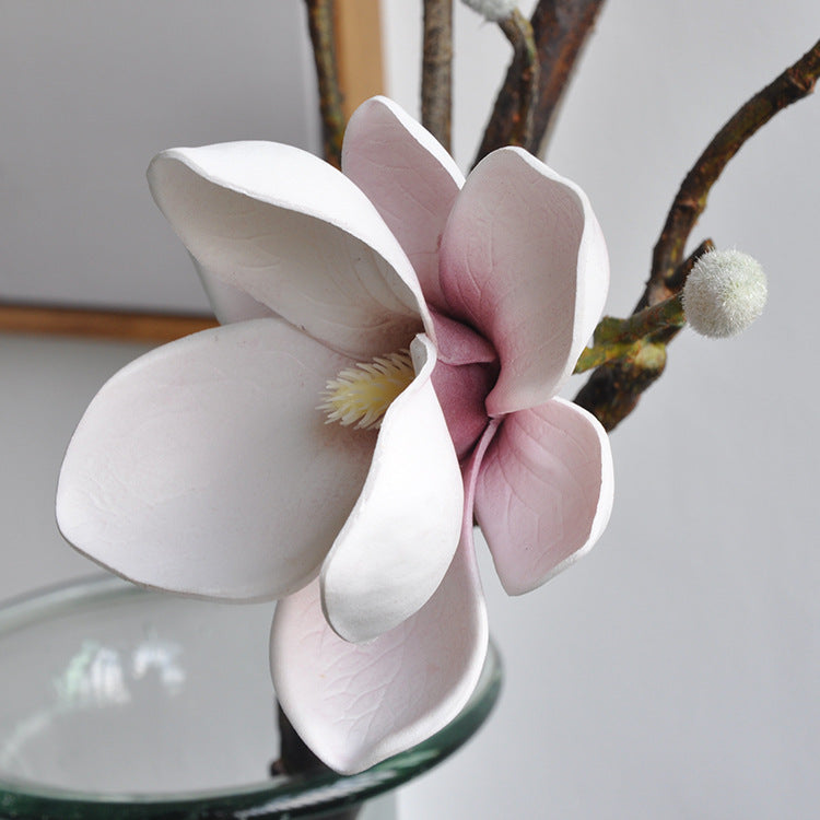 Yulan Magnolia - Yellow