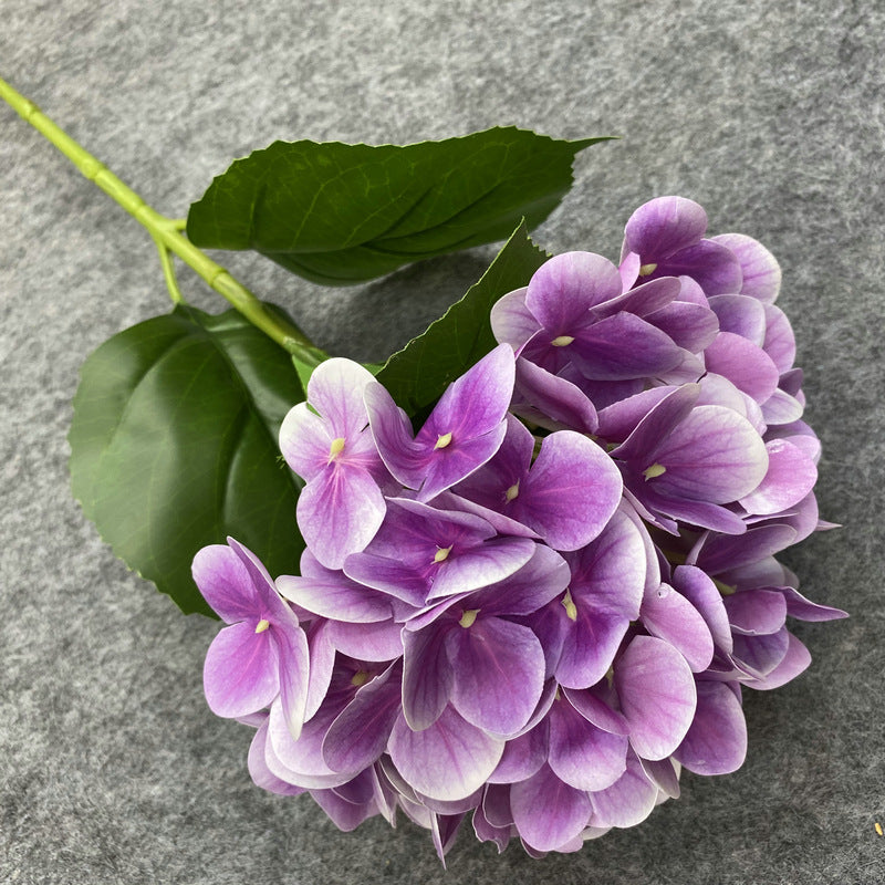 Hydrangea Floral - Gifts by Art Tree