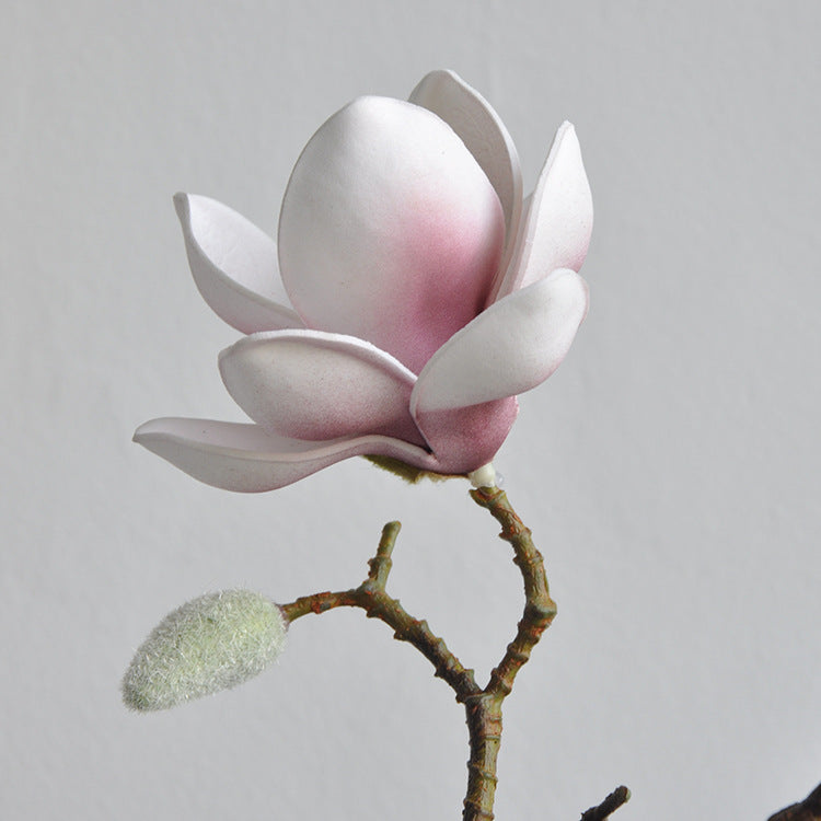 Yulan Magnolia - Gifts by Art Tree