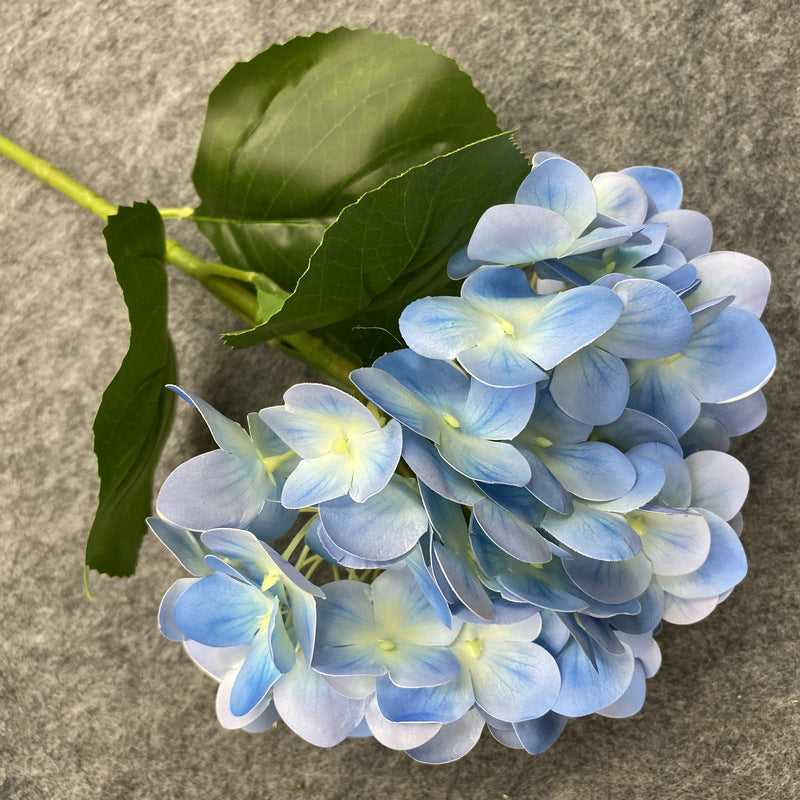 Hydrangea Floral - Gifts by Art Tree
