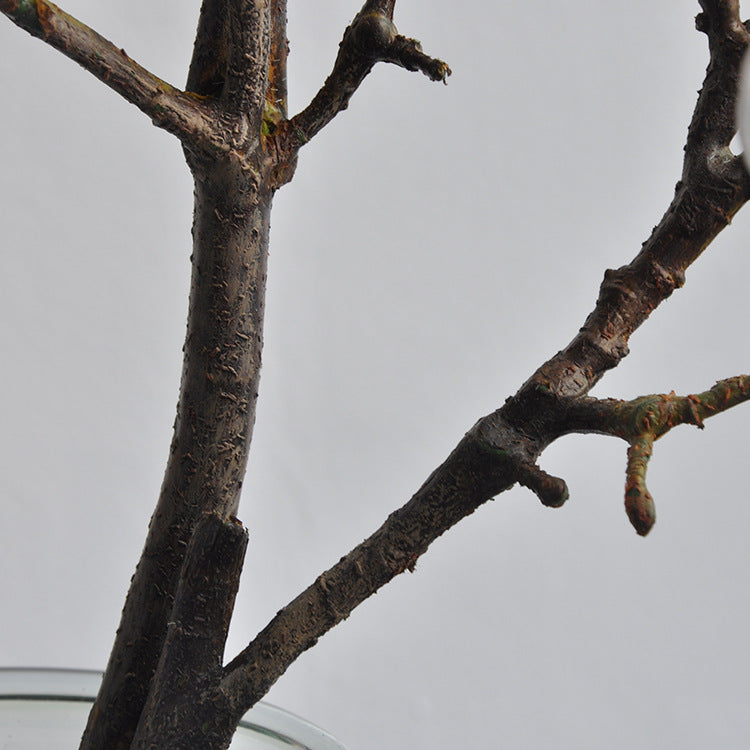 Yulan Magnolia - Gifts by Art Tree