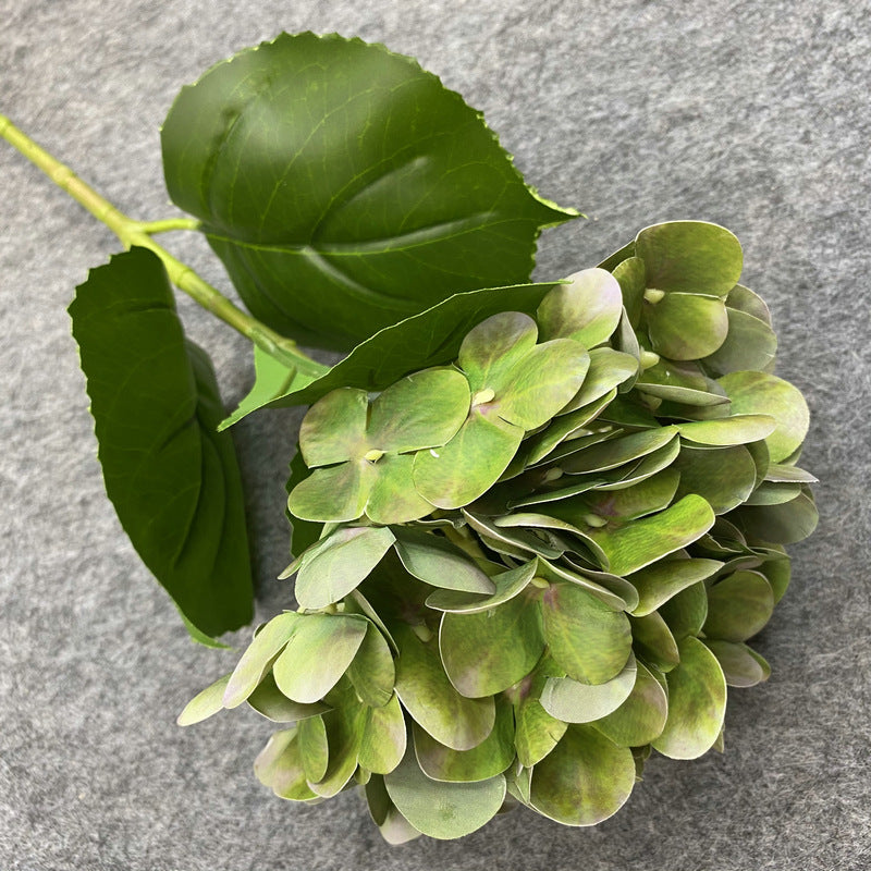 Hydrangea Floral - Gifts by Art Tree