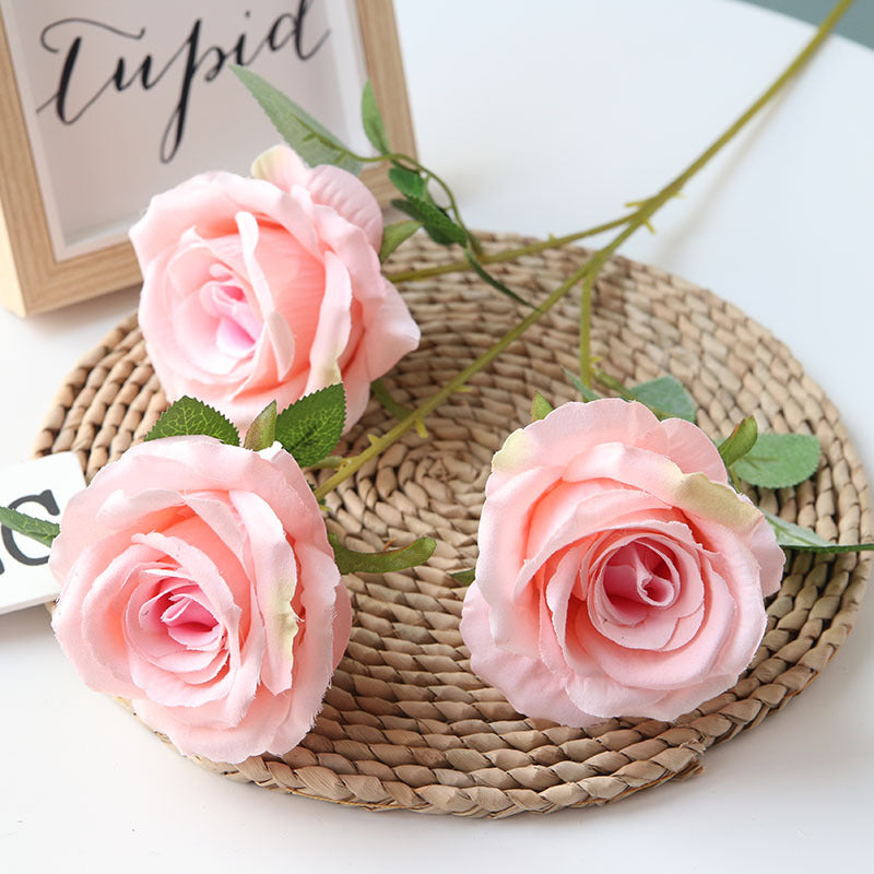 Vivid Rose - Baby Pink