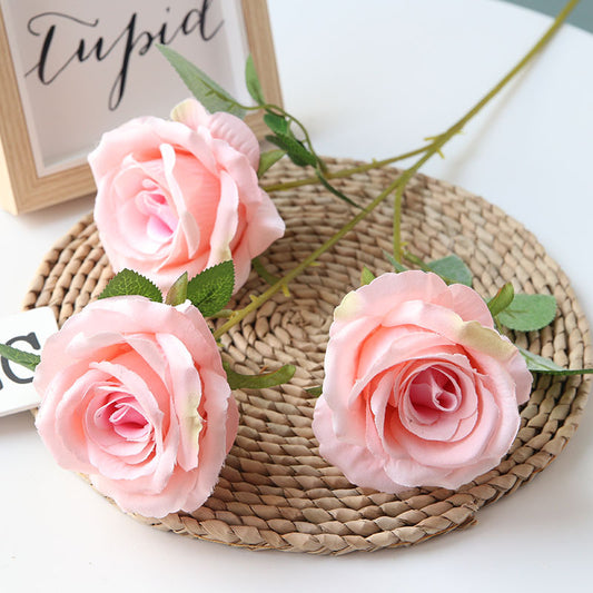 Vivid Rose - Baby Pink