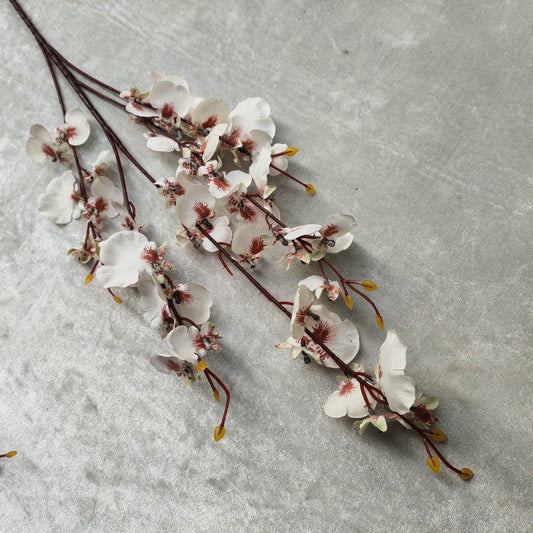 Chic Dancing Orchid - Gifts by Art Tree