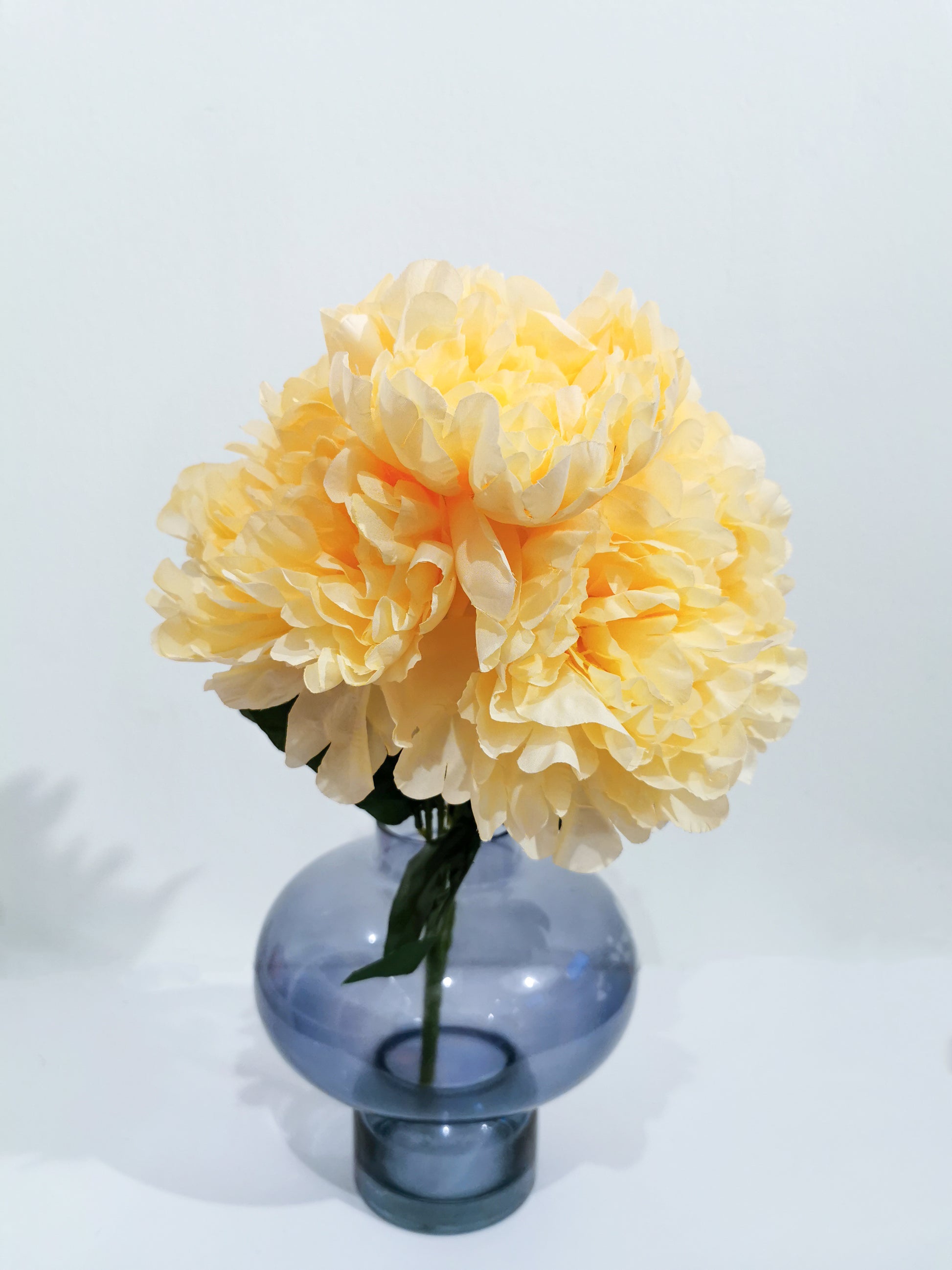 French Peony - Gifts by Art Tree