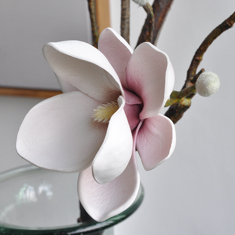 Yulan Magnolia - Gifts by Art Tree