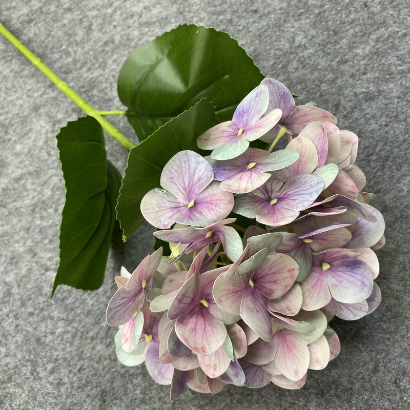 Hydrangea Floral - Gifts by Art Tree