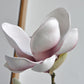 Yulan Magnolia - Gifts by Art Tree