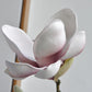 Yulan Magnolia - Blue