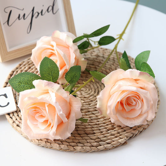 Vivid Rose - Peach Orange